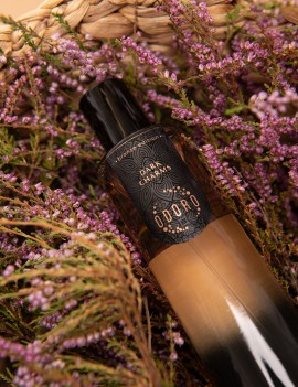 Dark Charms | Ambient spray 100 ml | Bronze edition