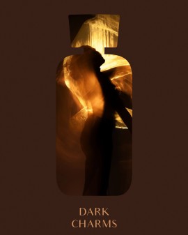 DARK CHARMS | HOME PERFUME 100 ML | BRONZE