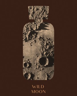 WILD MOON | HOME PERFUME 100 ML | BRONZE